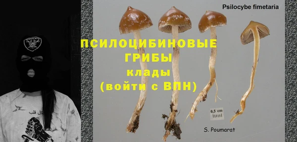 СК Кинешма