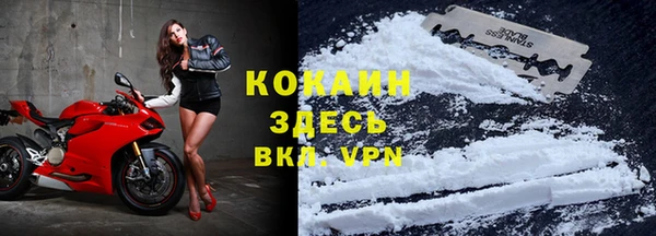 СК Кинешма