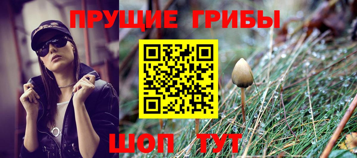 Назрань  купить наркотик  Вход с VPN  Псилоцибиновые грибы Magic Shrooms 